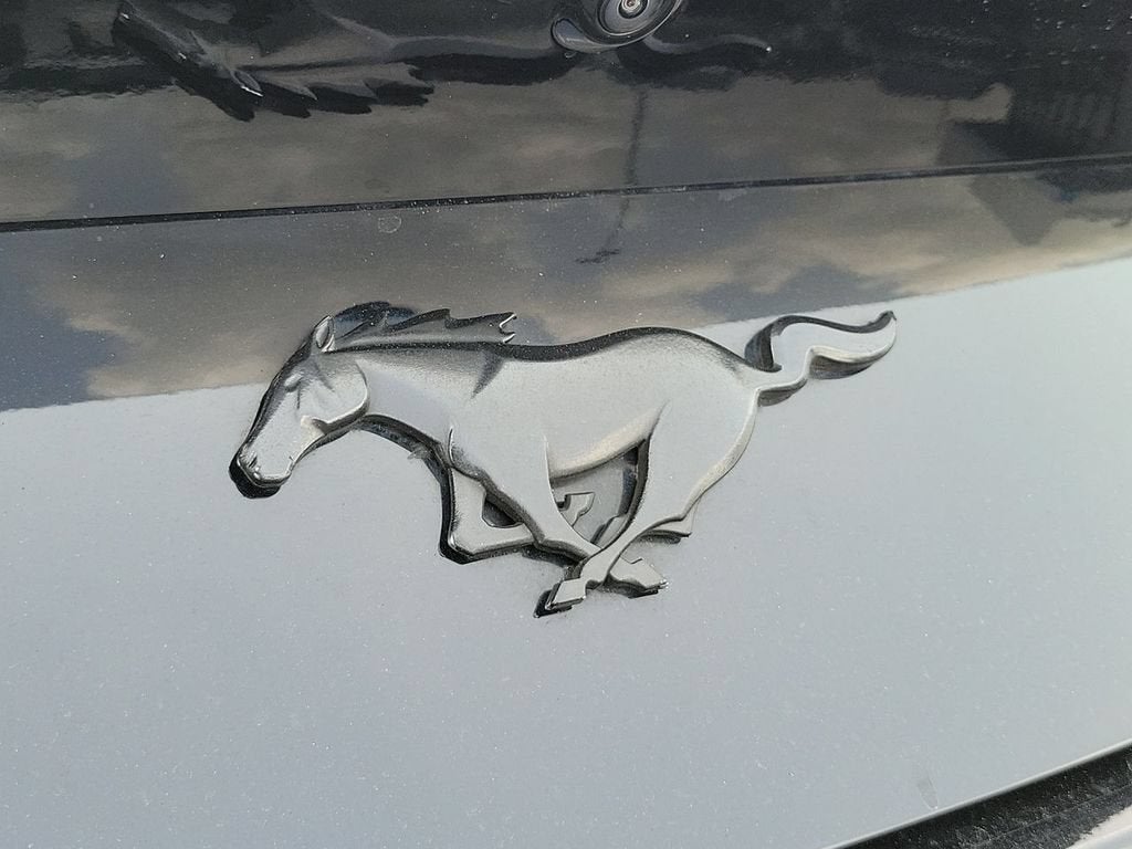 2024 Ford Mustang EcoBoost Premium Fastback