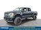 2019 Ford F-250 Platinum