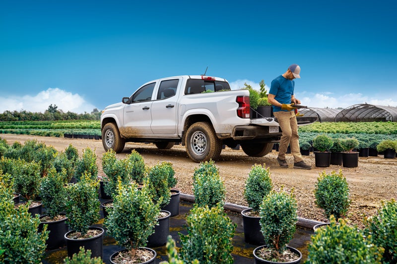 Business Elite Two | Fertitta Chevrolet in HOUSTON TX